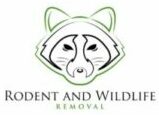 Redondo Beach Wildlife Removal